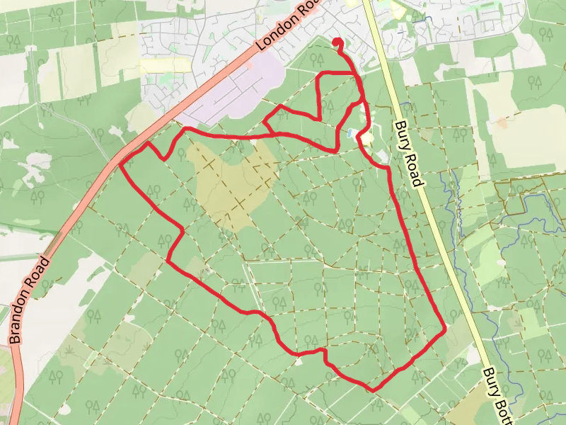 Branfon park ramble  14/02/26 thumbnail
