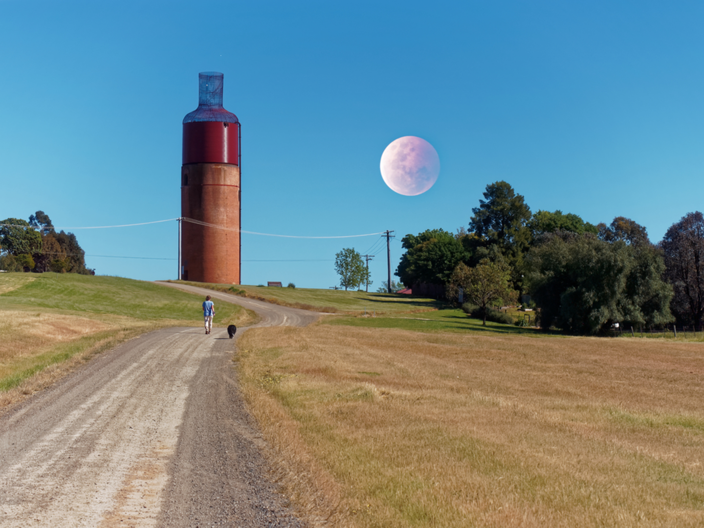 An image depicting the trail Arts Rutherglen Sculpture Trail and its surrounding area.