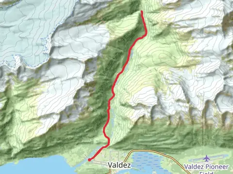 Mineral Creek Walkalong from Valdez