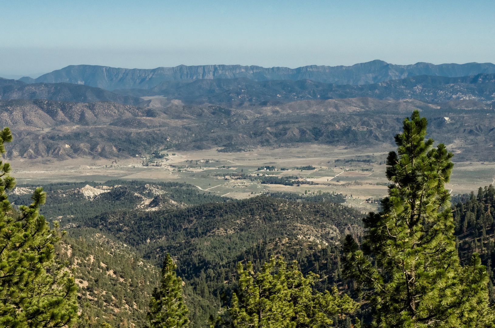 An image depicting the trail Mount Pinos via McGill Trail and its surrounding area.