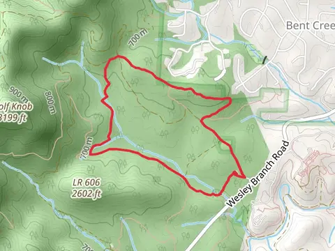 Corvair and Wolf Branch Loop Trail