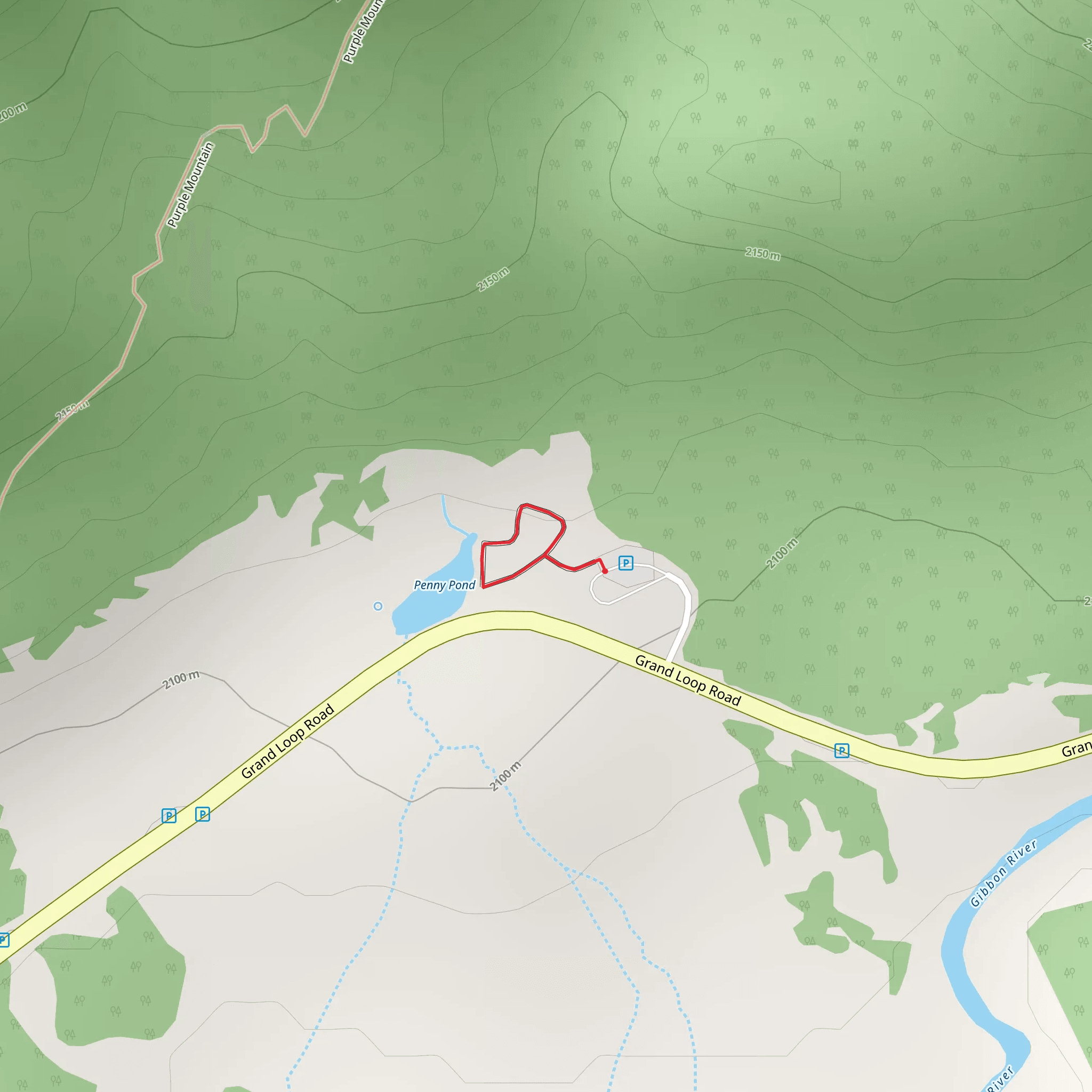 Terrace Springs Loop mobile static map