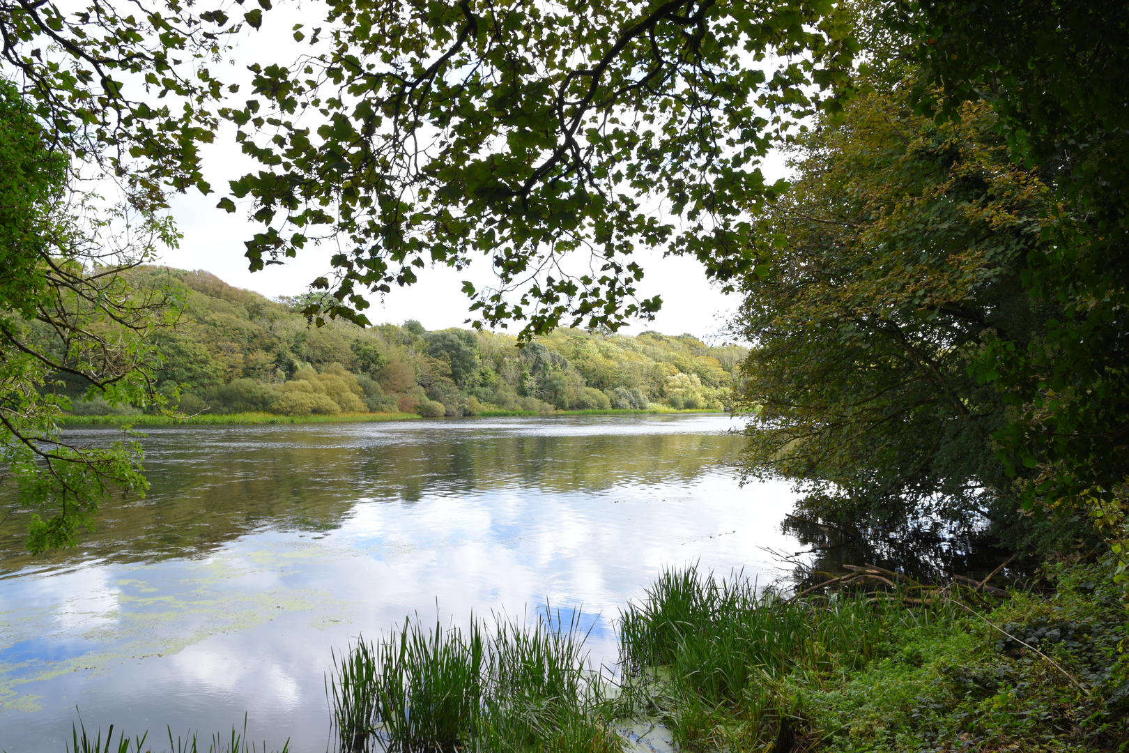 An image depicting the trail Bosherston Lily Ponds from Broad Haven and its surrounding area.
