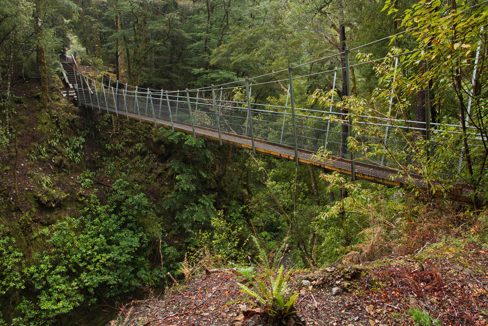An image depicting the trail Lyell Creek Walk and its surrounding area.