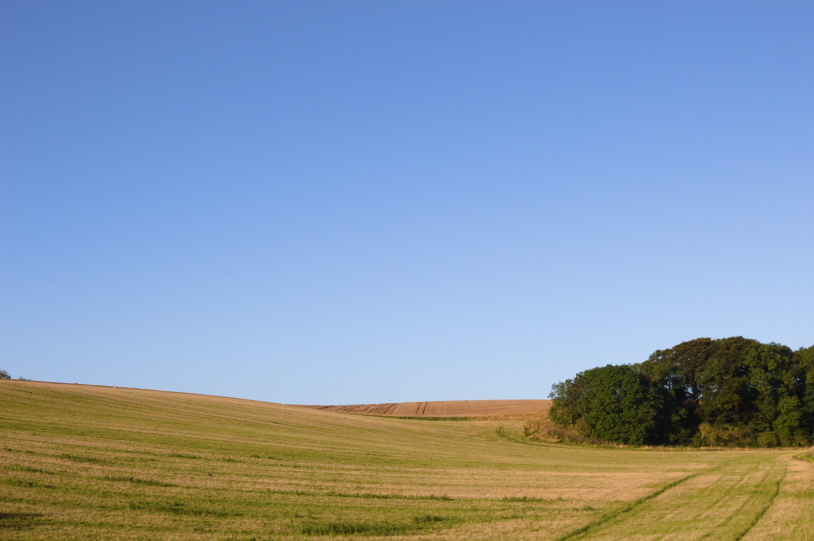 An image depicting the trail Wanderlust Way and its surrounding area.