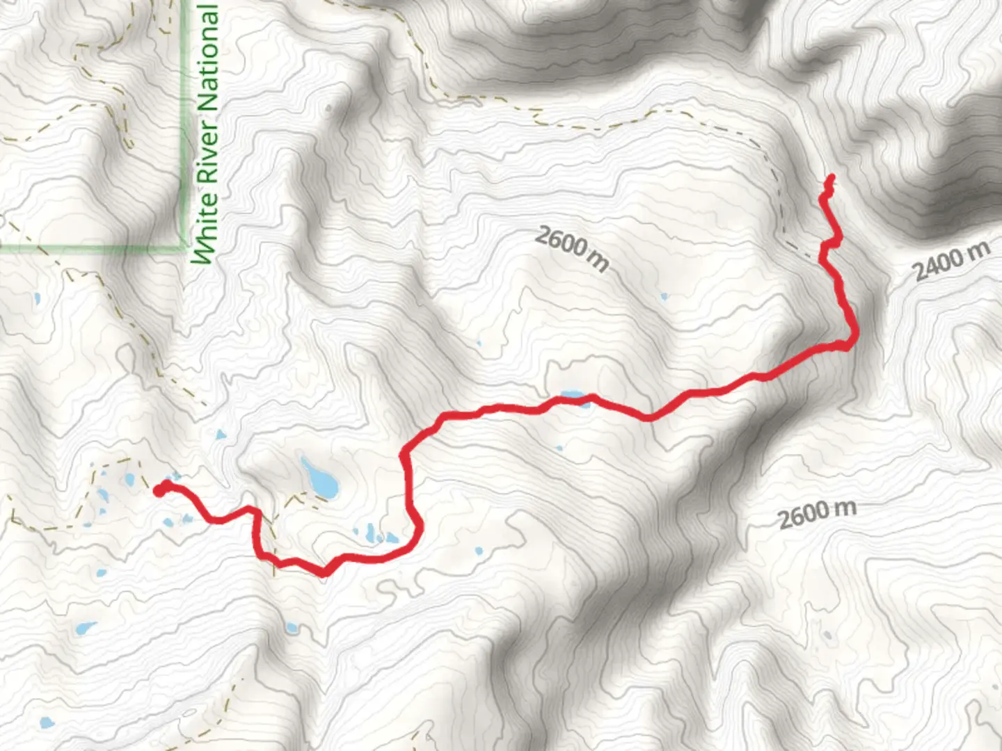 An image depicting the trail South Fork Piney Trail and its surrounding area.
