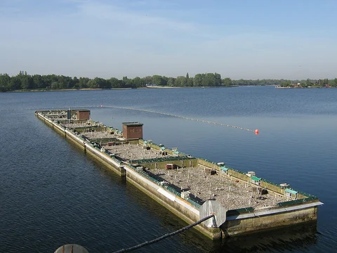 Grosser Hafen Loop