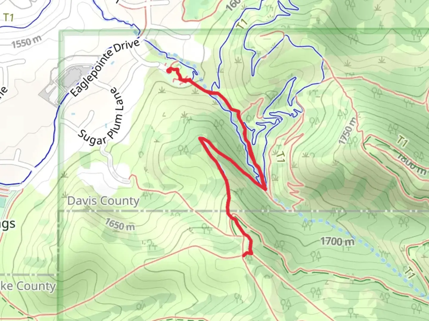 An image depicting the trail Wild Rose Overlook and its surrounding area.