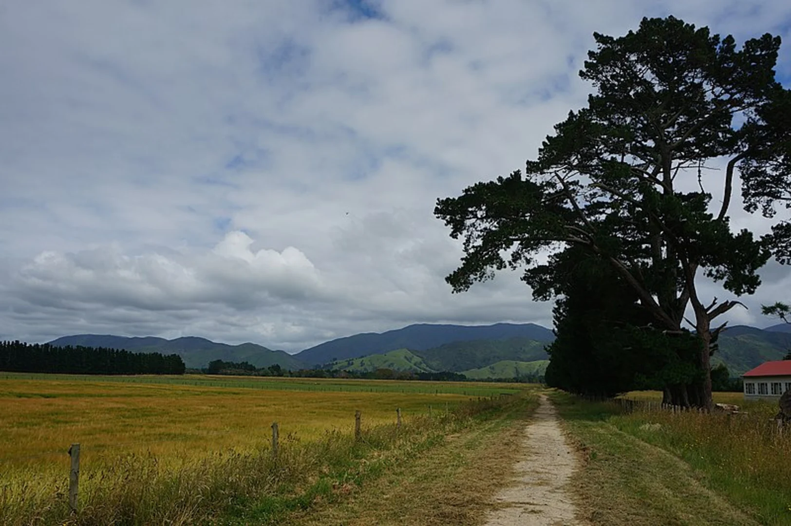 An image depicting the trail Greytown to Woodside Trail and its surrounding area.