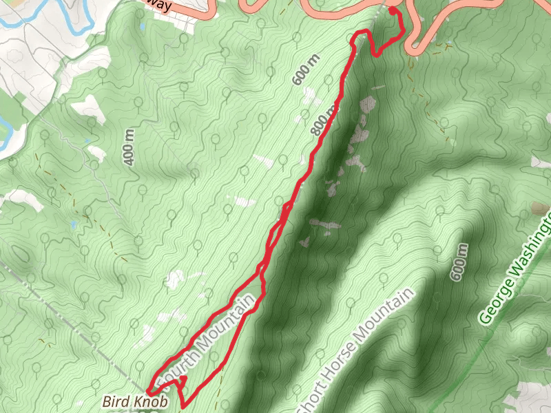 Massanutten South - Bird Knob Loop Trail
