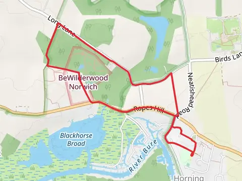 Hornign Loop