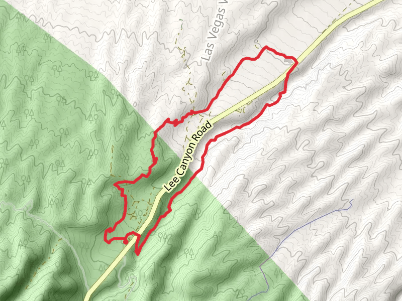 Deer Creek Catch Path and Blue Tree Run Loop