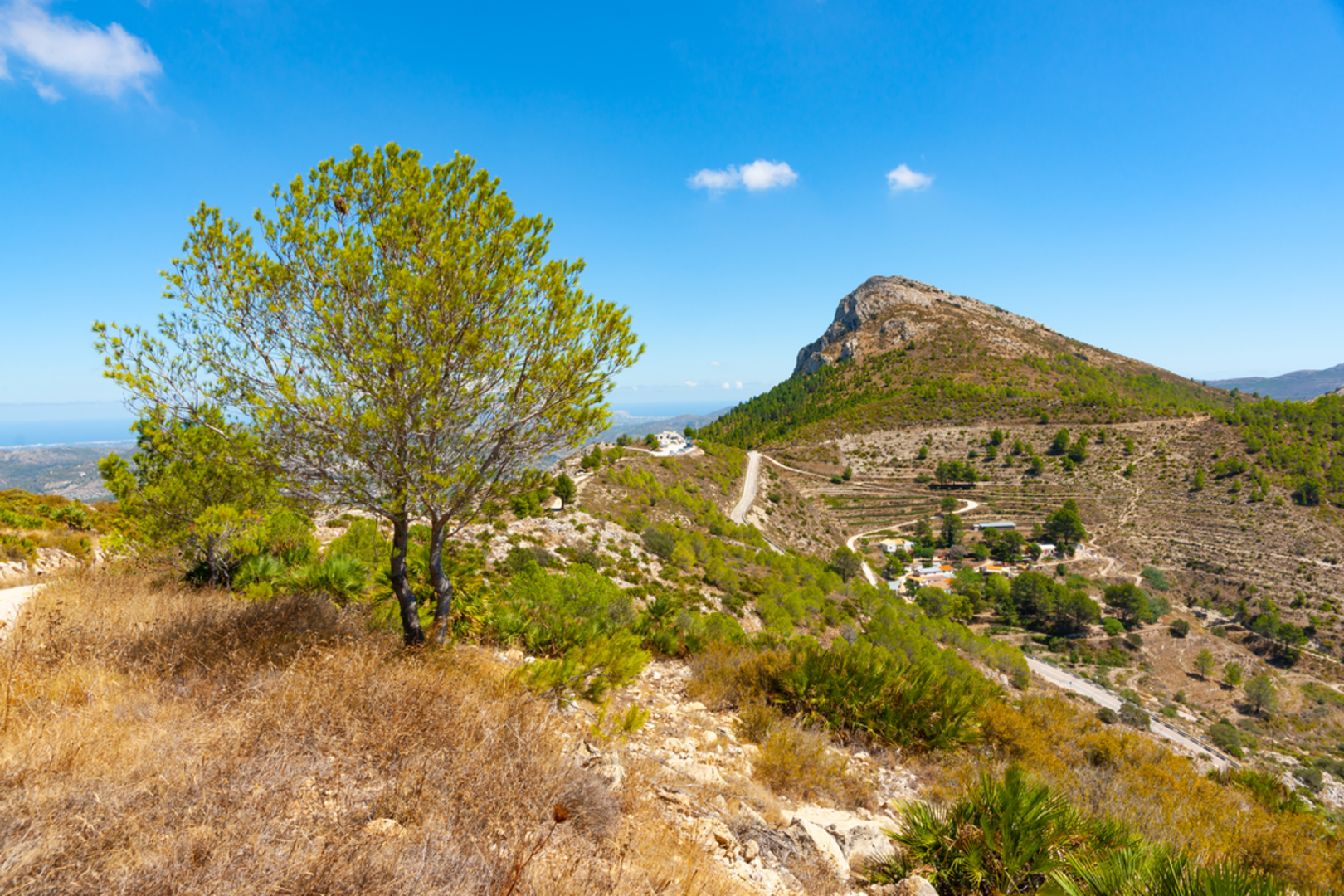 An image depicting the trail Sierra del Carrascal de Parcent PR CV 158 and its surrounding area.