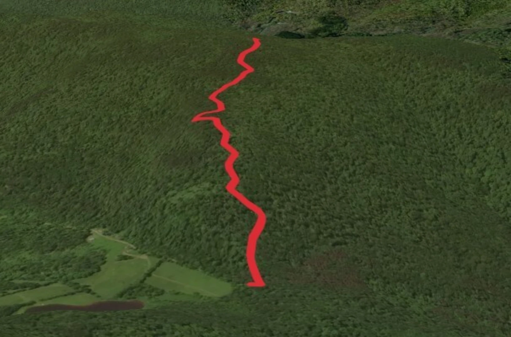 An image depicting the trail Mary Smith Hill Short Trail and its surrounding area.