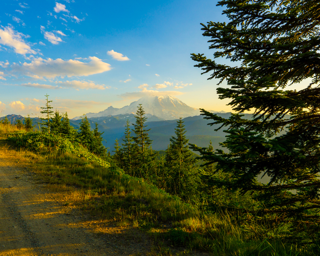 Suntop Trail