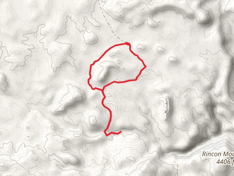 Smith House Spring and Chilicote Loop