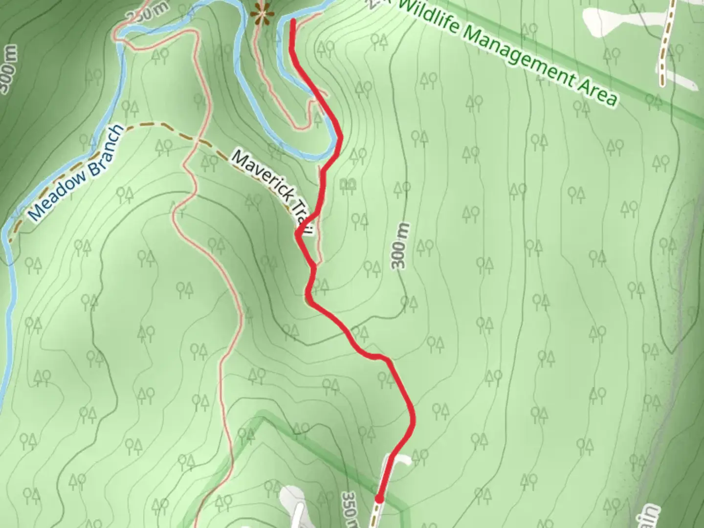 An image depicting the trail Meadow Branch and its surrounding area.