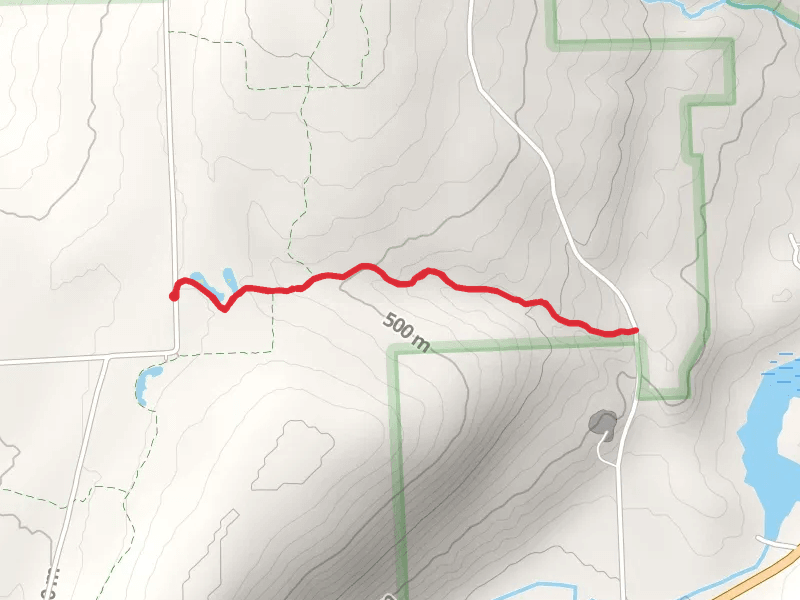 Gorge Trail