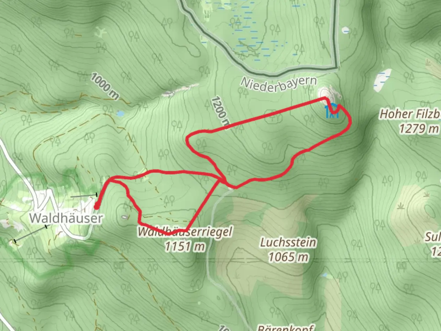 An image depicting the trail Lusen Loop via Luchs and its surrounding area.
