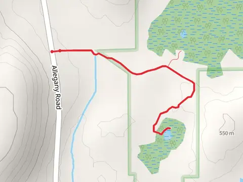 Allenberg Bog Trail