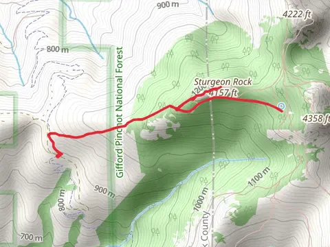 Sturgeon Trail