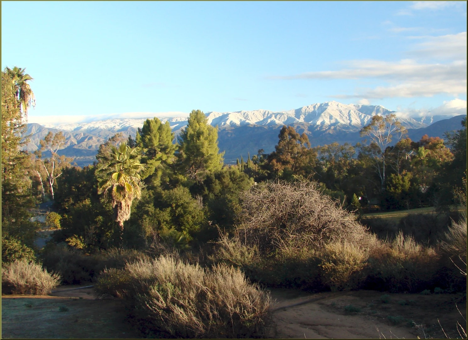 An image depicting the trail Trees of Our Valley Loop and its surrounding area.