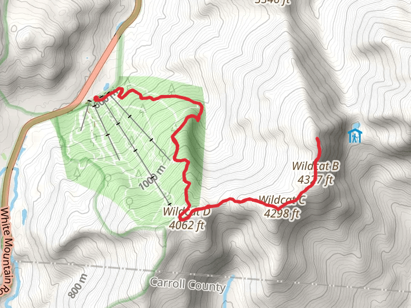 Wildcat Mountain via Stray Cat Trail