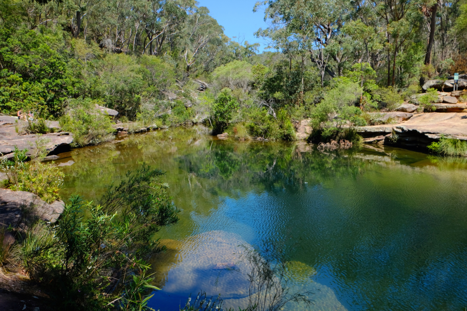 An image depicting the trail Karloo Track and its surrounding area.