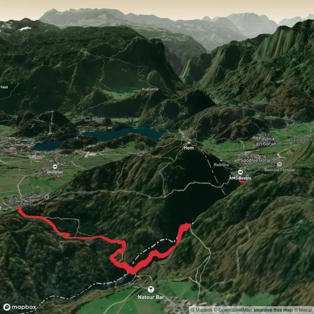 An image depicting the trail Vintgar Gorge Loop and its surrounding area.