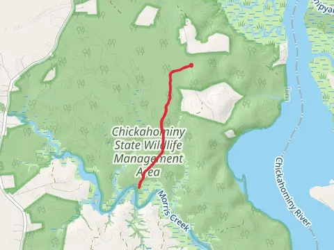 Morris Creek via Eagles Nest Road