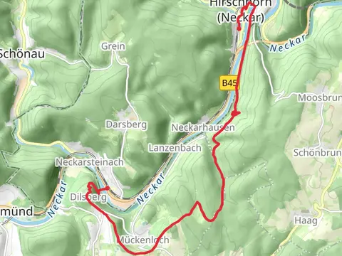 Neckarsteinach to Hirschhorn Walk