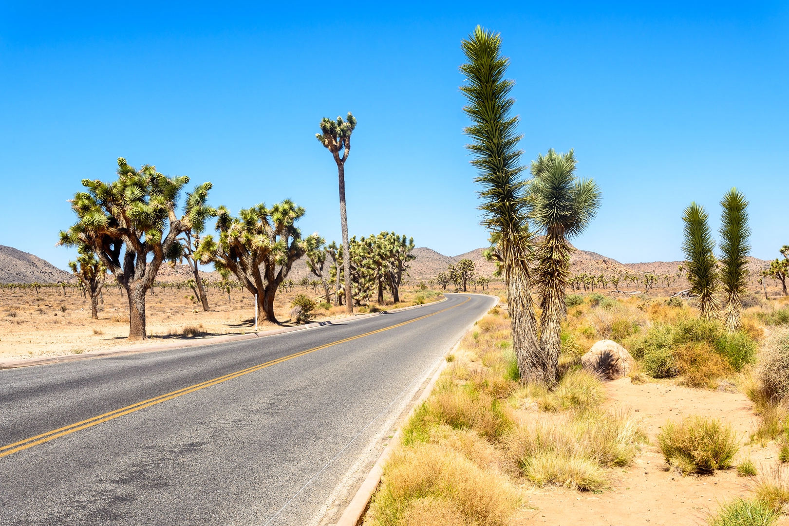 An image depicting the trail Park Boulevard Loop and its surrounding area.
