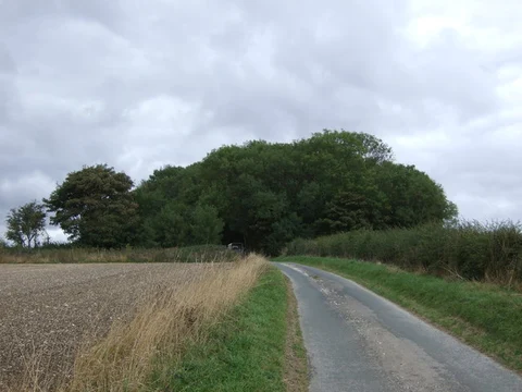 Skerningham Plantation Loop