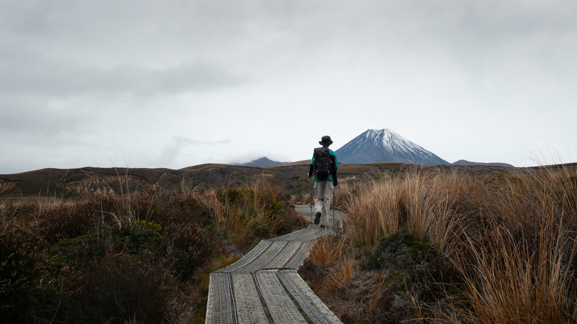 An image depicting the trail Taranaki Falls Walk and its surrounding area.