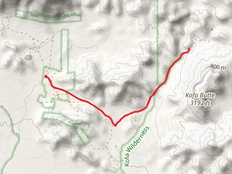 Yaqui Wash Walk