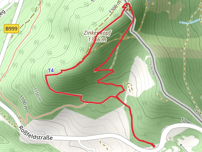 Zinkenkopf Loop