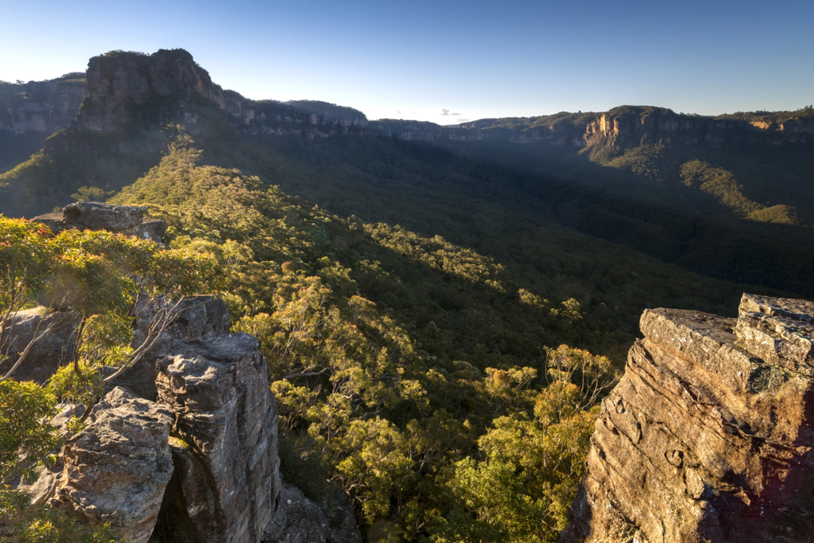 An image depicting the trail Golden Stairs Track and its surrounding area.