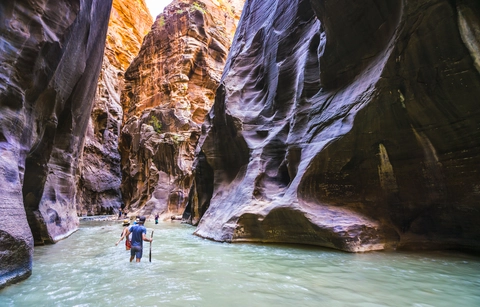 The Zion Narrows