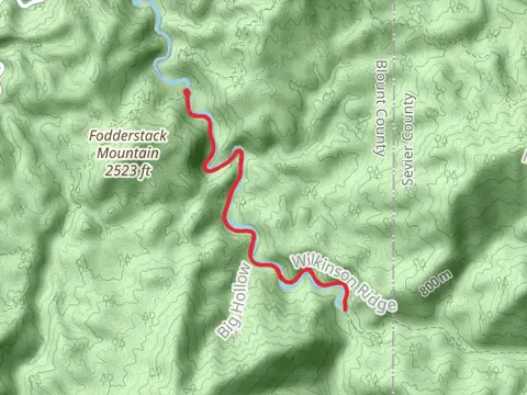 Walk along Middle Prong Little River