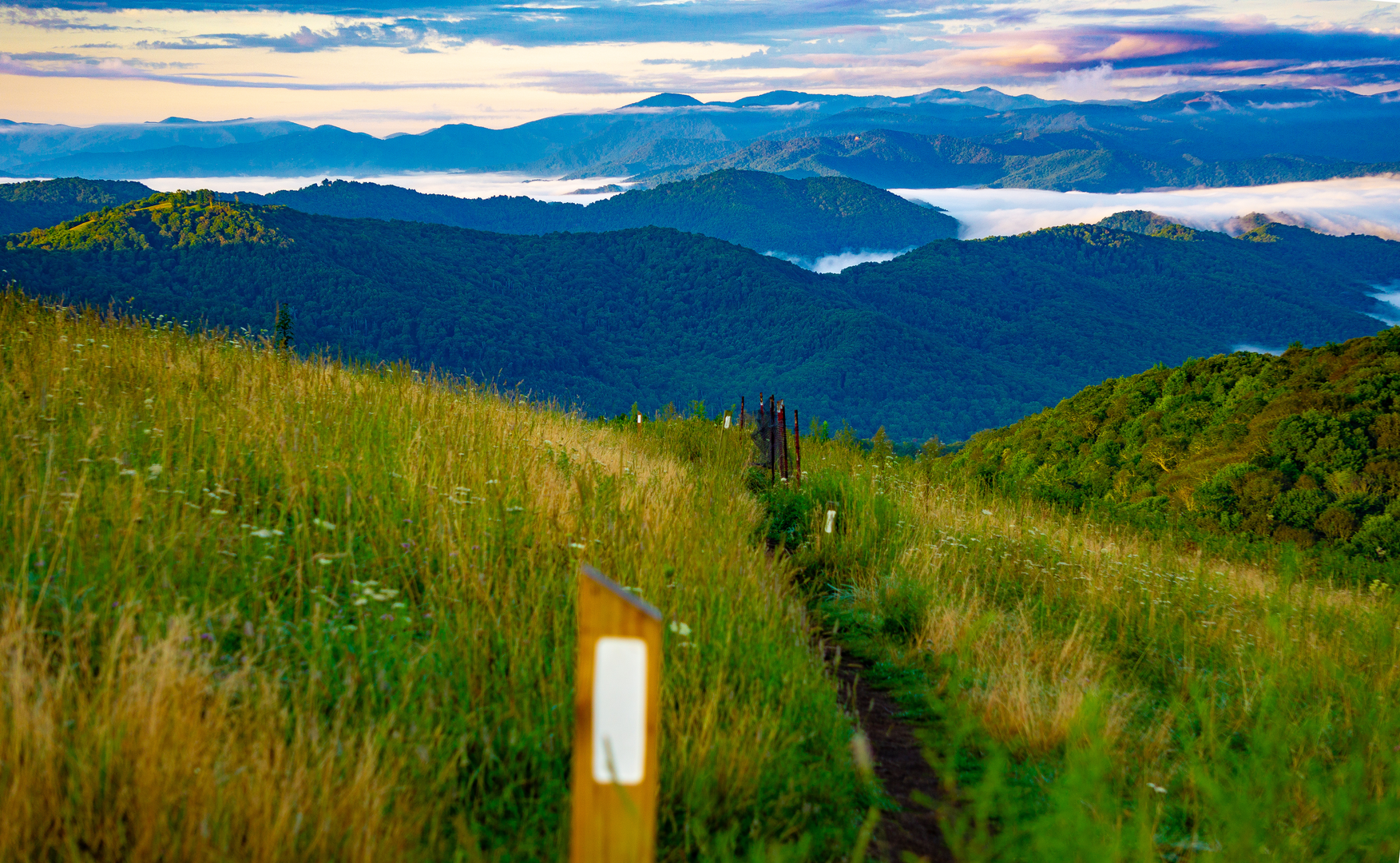 An image depicting the trail Appalachian Trail Section Hike - Davenport Gap to Max Patch Road and its surrounding area.