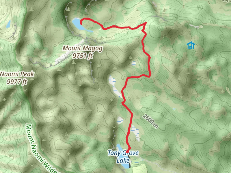 Wild Pine Lake Trail