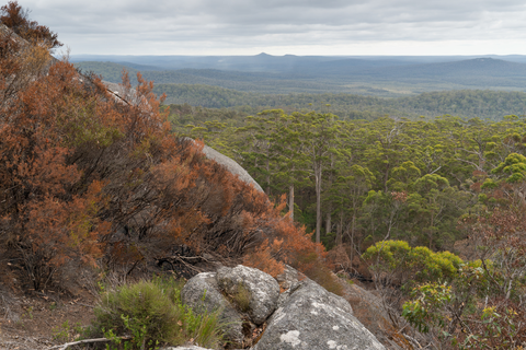 Mt Frankland Summit Trail