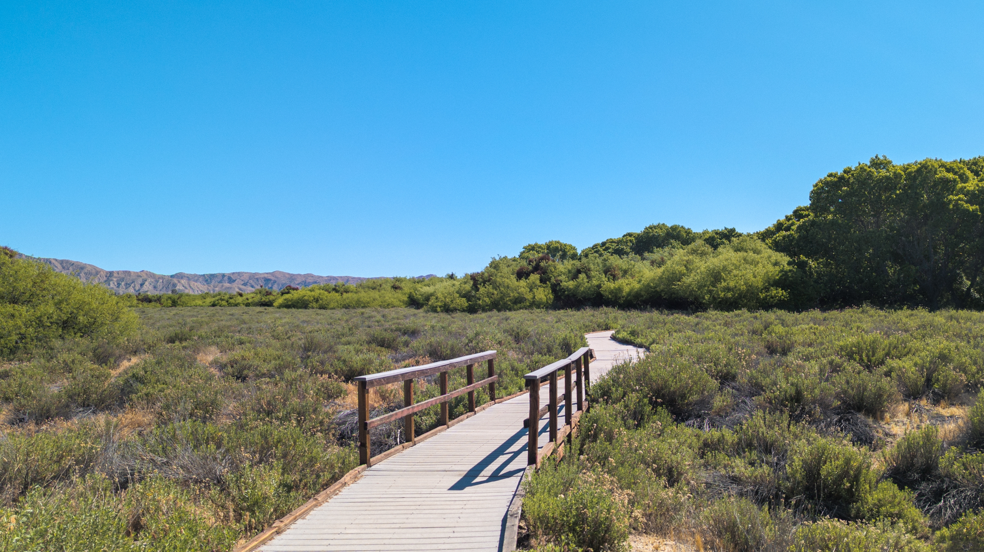 An image depicting the trail Mesquite Loop Trail and its surrounding area.