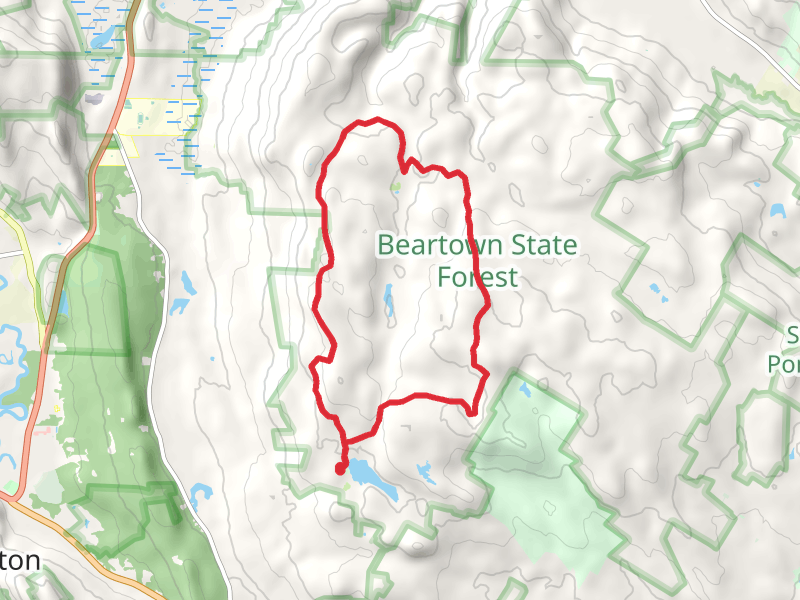 Beartown Mountain and Mount Wilcox Loop