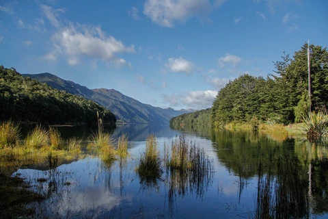 Rodger Inlet Track