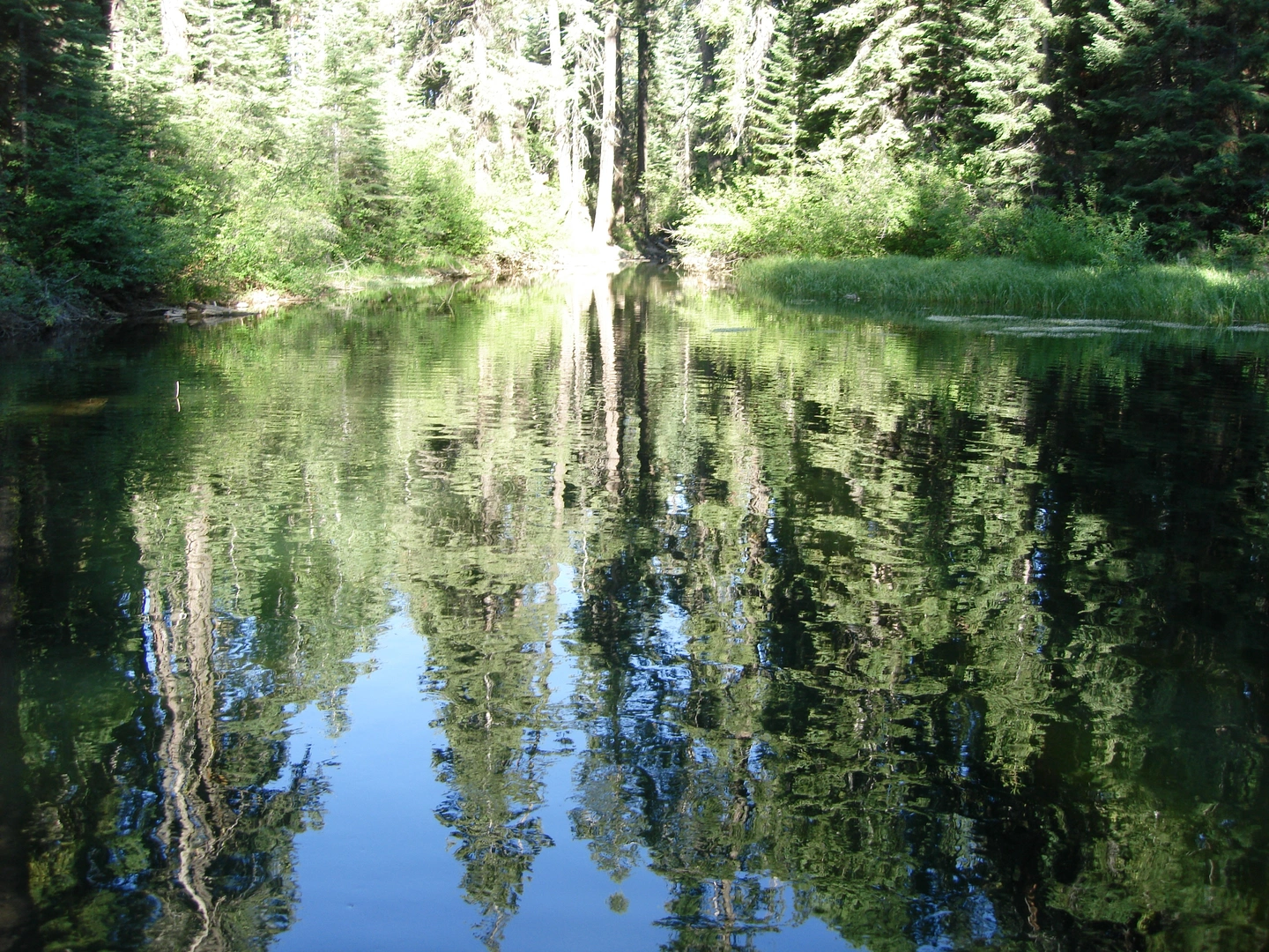 An image depicting the trail Clear Lake Trail and its surrounding area.
