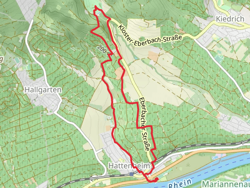 Weinwanderweg Hattenheim Loop
