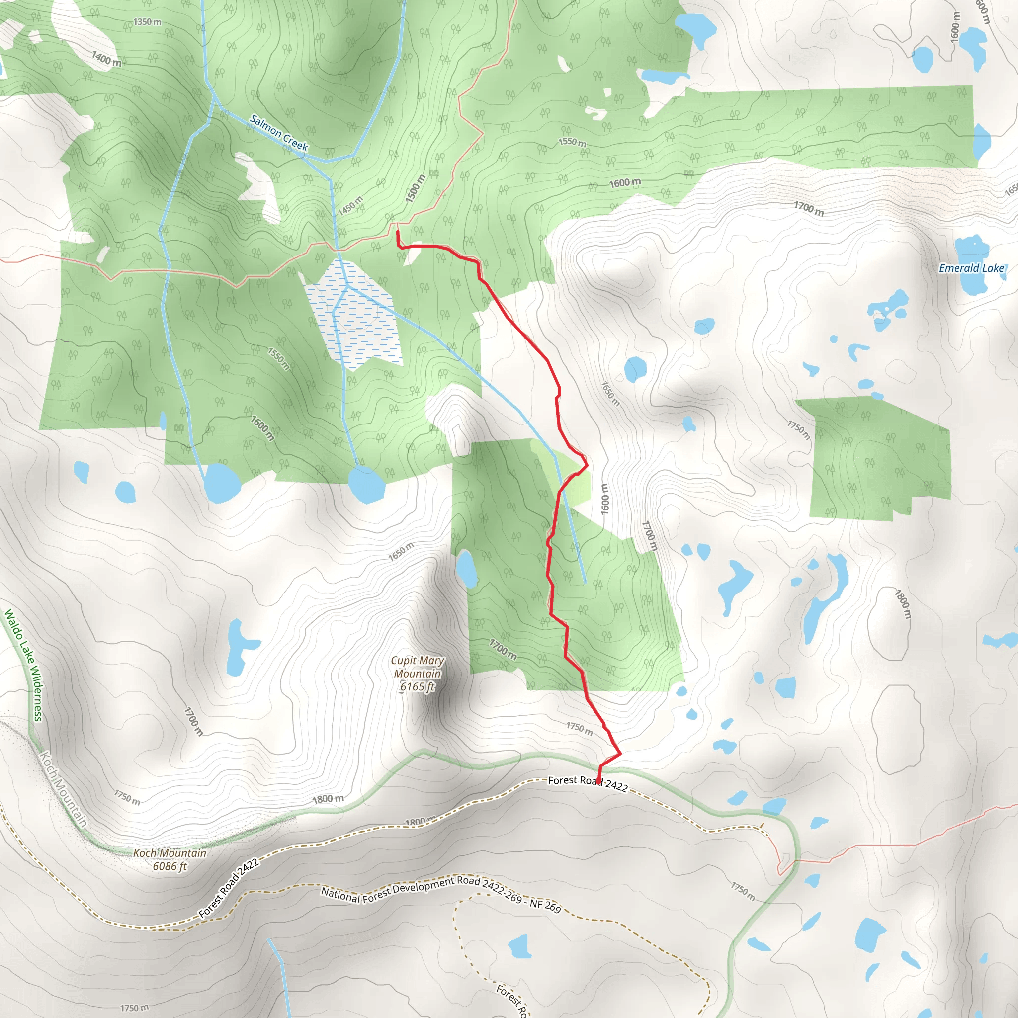 Cupit Mary Meadow Trail mobile static map