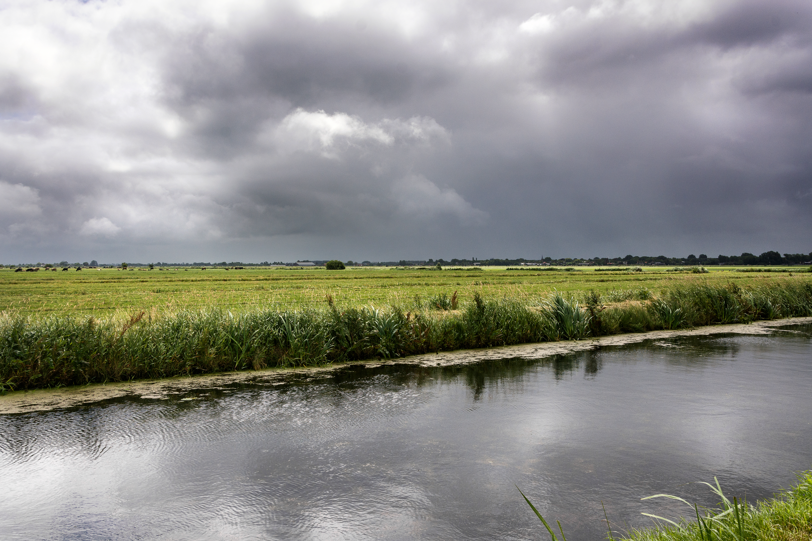 An image depicting the trail Zwammerdam Loop and its surrounding area.