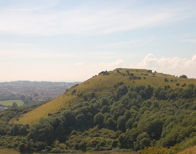 Laverstock Country Park Loop